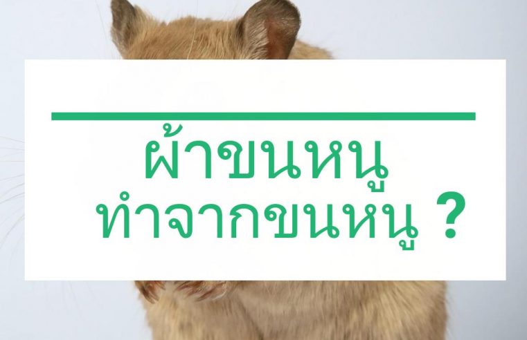 ทำไมเรียกผ้าขนหนู