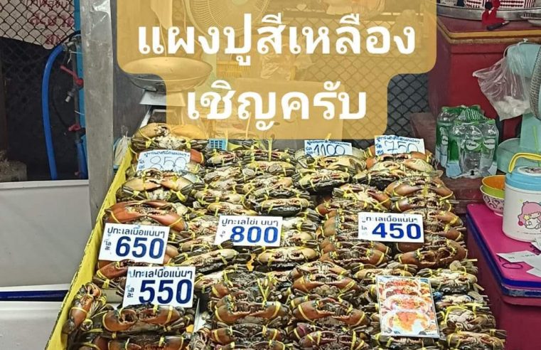 โก๋บอลปูทะเล ร้านขายปูทะเลใกล้ฉัน