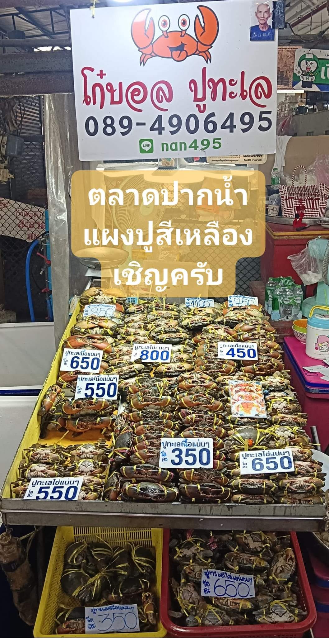 โก๋บอลปูทะเล” ตลาดปากน้ำ: แหล่งรวมปูทะเลสด ๆ เนื้อแน่น ไข่เต็มคำ ตอบโจทย์คนรักซีฟู้ด ใกล้คุณ!